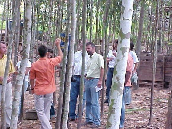 PESQUISADORES APTA