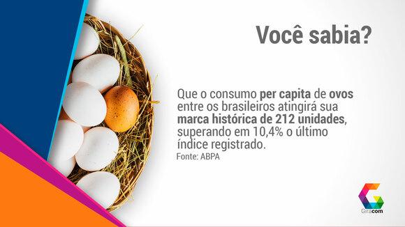 Ovo, um alimento completo