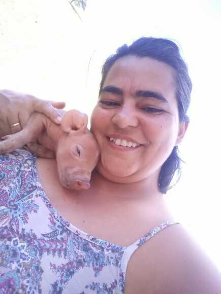 Novo moradorzinho