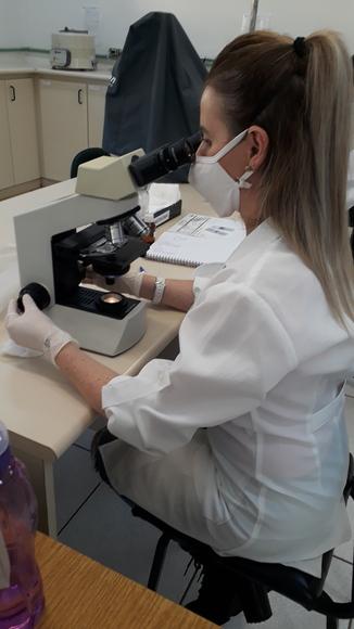 Estudos Coccidiose