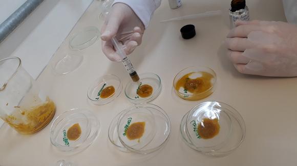 Testes coccidiose (excretas) x extratos naturais