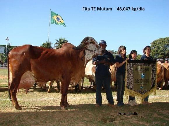Campeãs Mundiais