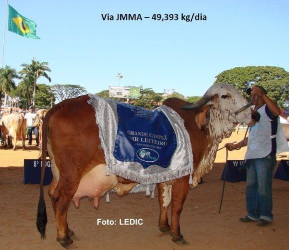 Campeãs Mundiais