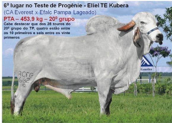Teste de Progênie - Eliel TE Kubera