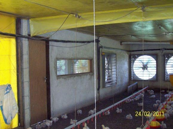 Detalhe dos defletores de polipropileno para regularizar a Ventilação.