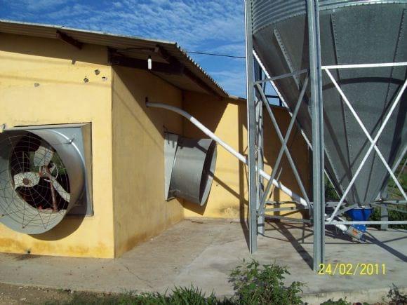 Silo e tubo do sistema automático de arraçoamento.