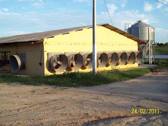 Exaustores com difusores de ar e silo de ração.