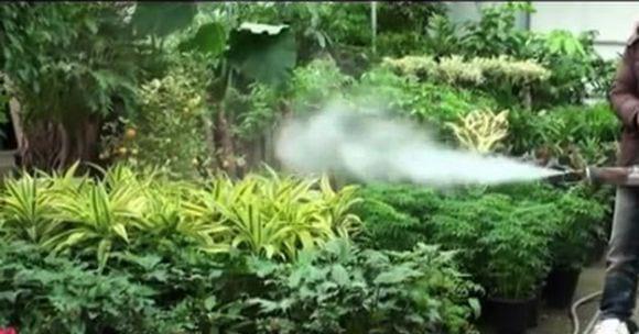 Termonebulizadores Mini Smart Fogger