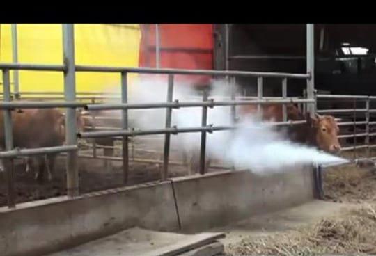 Termonebulizadores Mini Smart Fogger