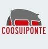 Coosuiponte