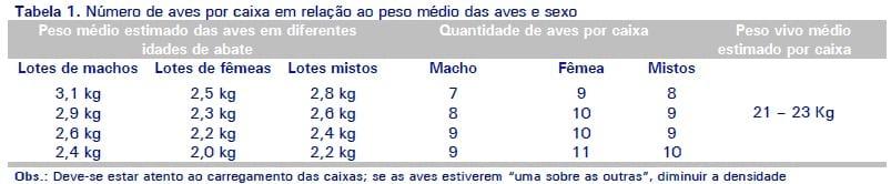Manejo pré-abate em frangos de corte - Image 3