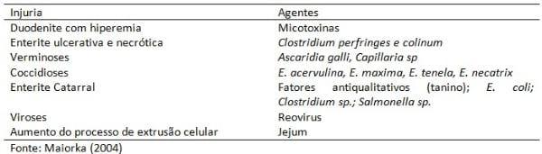 A saúde intestinal é elementar para a produtividade de frangos de corte - Image 1