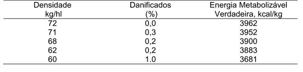 Milho: o grão que vale ouro nas dietas de aves mas que ainda não recebeu a devida importância do setor produtivo - Image 3
