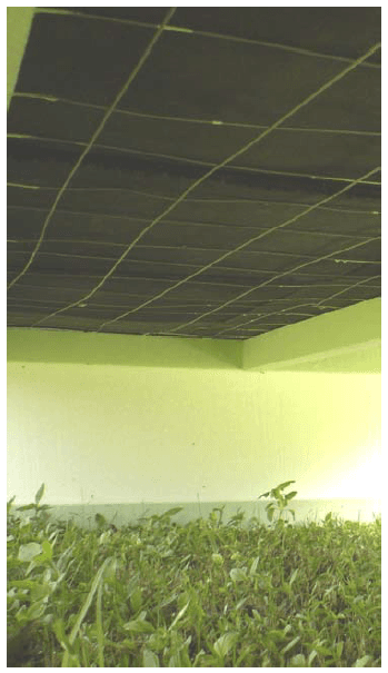 Análise da influência do revestimento de resíduo de EVA no conforto térmico de instalações agropecuárias. - Image 3