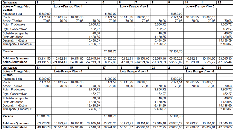 NECESSIDADE DE CAPITAL DE GIRO NA CADEIA PRODUTIVA DO FRANGO DE CORTE NO SISTEMA DE INTEGRAÇÃO - Image 8