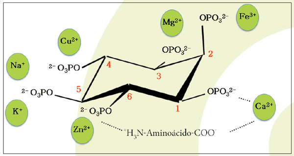 Fitase - SMIZYME - Image 1