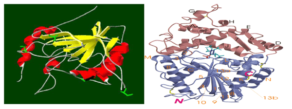 Fitase - SMIZYME - Image 5