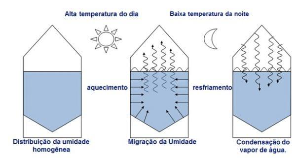 Controle de Pontos Críticos em Armazenamento de Millho - Image 7