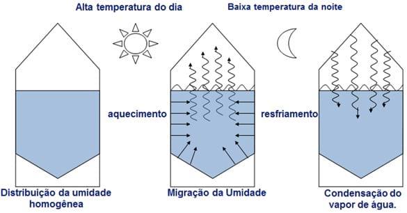 Em busca da qualidade do milho armazenado. - Image 4