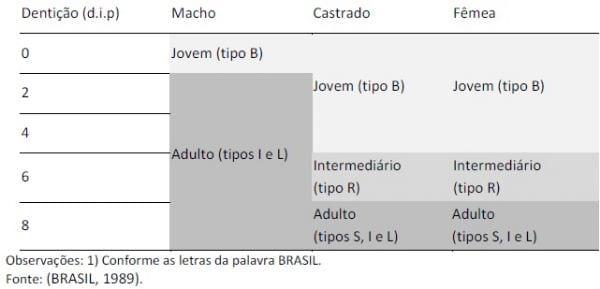 Classificação, tipificação e qualidade da carne bovina - Image 4