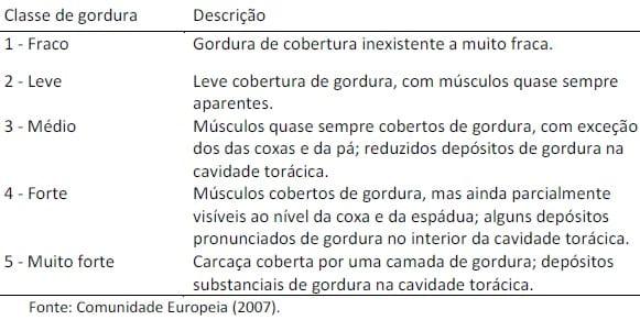 Classificação, tipificação e qualidade da carne bovina - Image 3