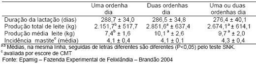 Produção de leite e bezerro comercial com vacas F1 holandês-zebu - Image 13
