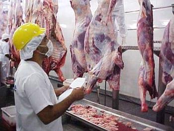 Tipificação de carcaças bovinas no oeste baiano - Image 1