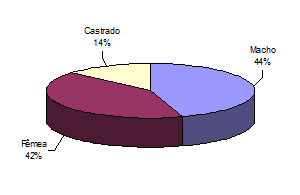 Tipificação de carcaças bovinas no oeste baiano - Image 3