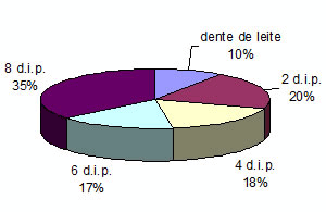Tipificação de carcaças bovinas no oeste baiano - Image 4