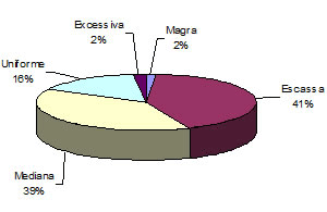 Tipificação de carcaças bovinas no oeste baiano - Image 5