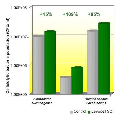 Ação da Levedura Viva no Rúmen: Digestibilidade da Fibra e Valor Dietético - Image 4