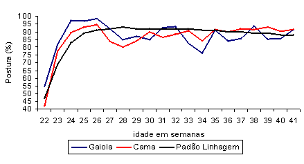 Impactos do bem-estar na produção de ovos - Image 3