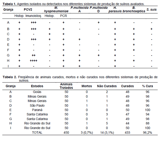 Tratamento de doença respiratória de ocorrência natural em suínos criados em condições comerciais - Image 1