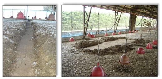 Compostagem do material retido em separação de frações sólidas e líquidas da cama de frango de corte - Image 1