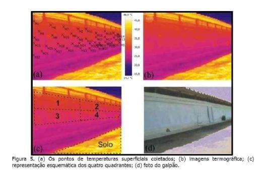 Ambiência avícola: construindo soluções com novas tecnologias - Image 7