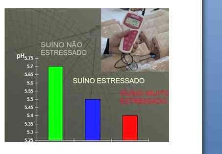 Carne Suína: fatores determinantes de sua qualidade - Image 1