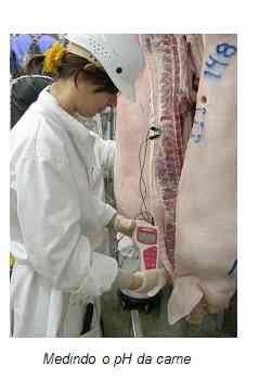 Carne Suína: fatores determinantes de sua qualidade - Image 5