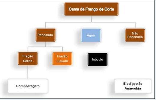 Potencial bioenergético da cama de frangos de corte com ou sem separação das frações sólido e líquida sobre a emissão de gases de efeito estufa - Image 4