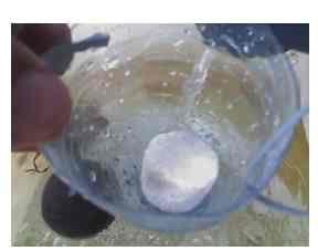 Sistemas de Abastecimento de Água e Processo de Sanitização na Produção Animal - Image 4