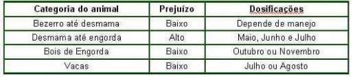 Controles Estratégicos de Verminoses nos Bovinos - Image 4