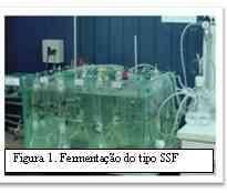 A Fitase: Produção e uso na dieta de poedeiras - Image 1