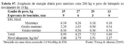 Como alimentar porcas que desmamam 30 leitões por ano - Image 5