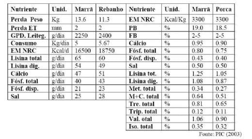Como alimentar porcas que desmamam 30 leitões por ano - Image 7