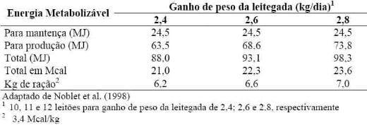 Como alimentar porcas que desmamam 30 leitões por ano - Image 8