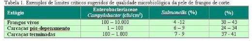 Qualidade e segurança na produção de carne de aves - Image 2