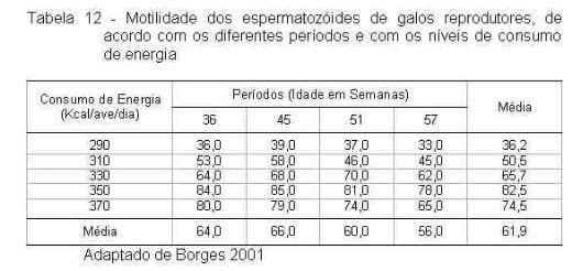 Exigências Nutricionais de Proteína e Energia para Galos Reprodutores de Corte na Fase de Produção - Image 14