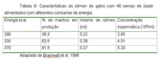 Exigências Nutricionais de Proteína e Energia para Galos Reprodutores de Corte na Fase de Produção - Image 9