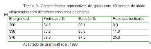 Exigências Nutricionais de Proteína e Energia para Galos Reprodutores de Corte na Fase de Produção - Image 10