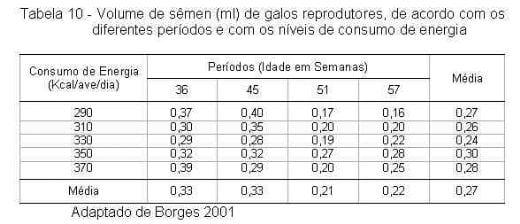 Exigências Nutricionais de Proteína e Energia para Galos Reprodutores de Corte na Fase de Produção - Image 11
