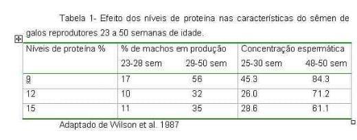 Exigências Nutricionais de Proteína e Energia para Galos Reprodutores de Corte na Fase de Produção - Image 1